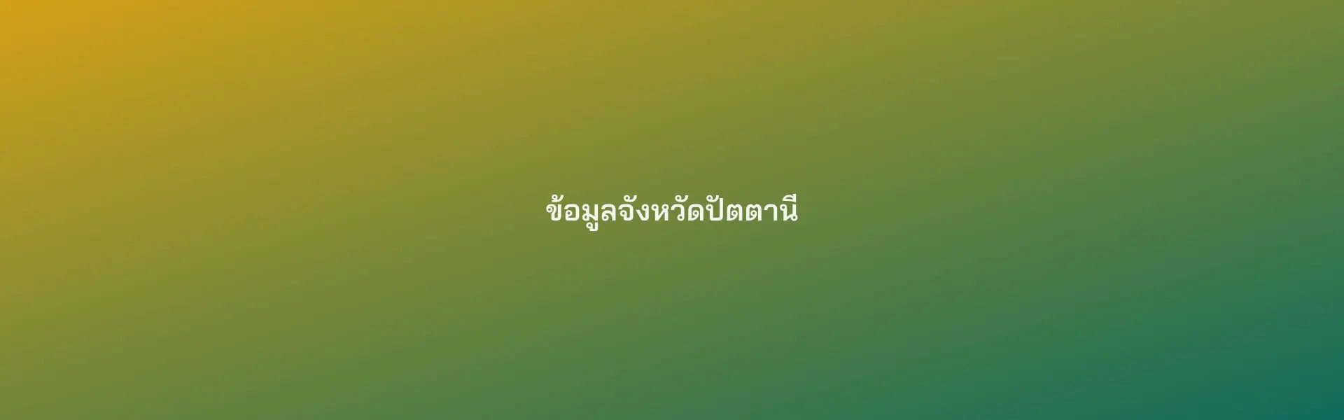 บรรยากาศทั่วไปจังหวัดปัตตานี (รูปทดสอบ รอเปลี่ยนเป็นรูปจริง)